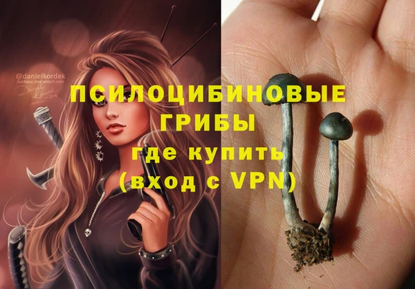Альфа ПВП Алзамай