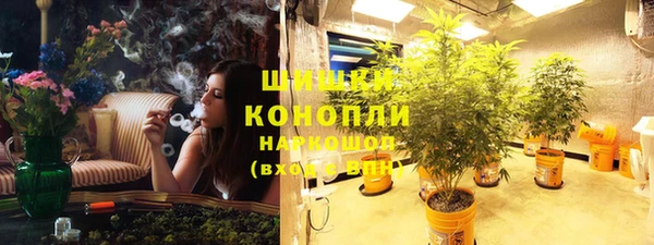 ПСИЛОЦИБИНОВЫЕ ГРИБЫ Алексин