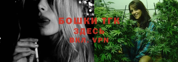 ПСИЛОЦИБИНОВЫЕ ГРИБЫ Алексин