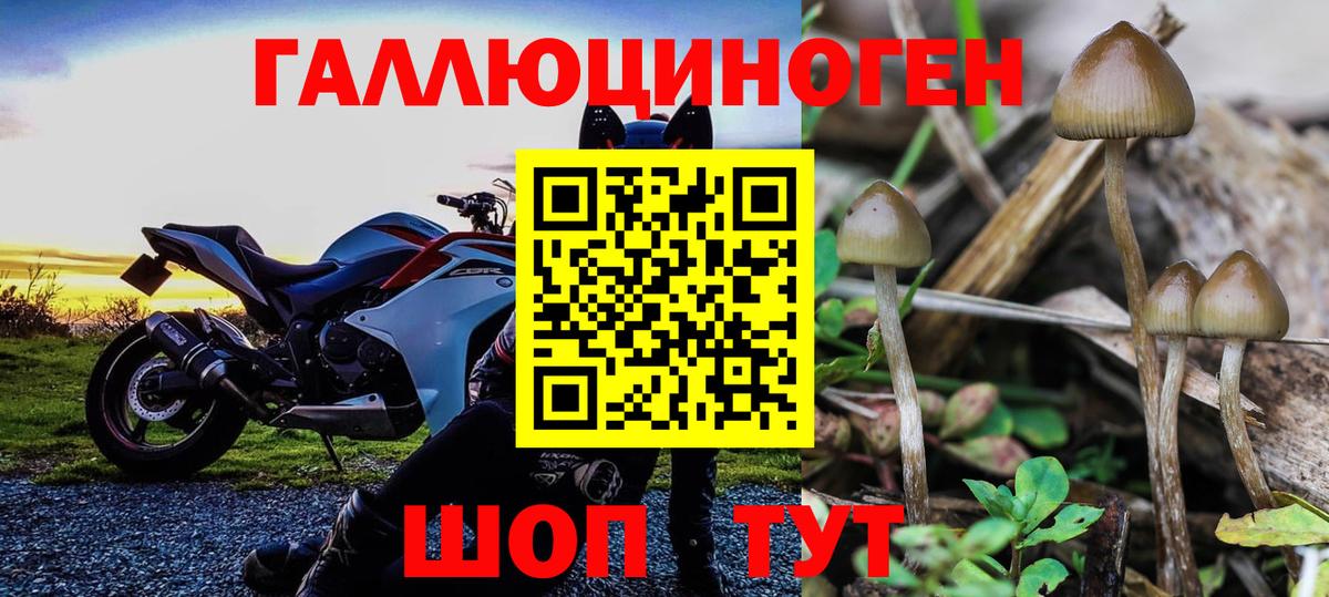 сколько стоит  Псилоцибиновые грибы Psilocybe  Тула  Вход с VPN  Псилоцибиновые грибы MAGIC MUSHROOMS 